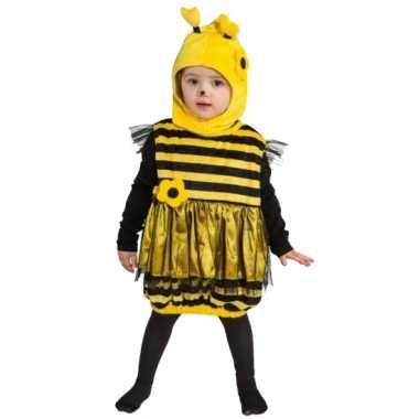 Carnavalskleding  Bijen verkleedset peuters Arnhem