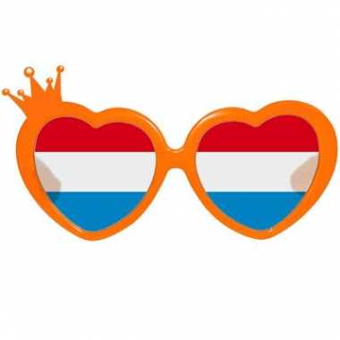 Carnavalskleding  Oranje bril hartjes montuur Arnhem