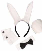 Carnavalskleding bunny playboy setje arnhem