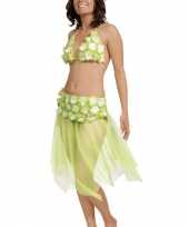 Carnavalskleding groene hawaii rok bikini arnhem