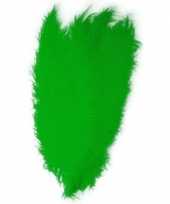 Carnavalskleding grote veer struisvogelveren groen verkleed accessoire arnhem