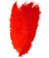 Carnavalskleding grote veer struisvogelveren rood verkleed accessoire arnhem
