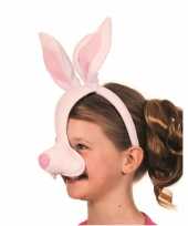 Carnavalskleding masker konijn geluid arnhem