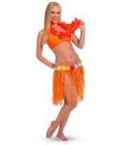 Carnavalskleding oranje hawaii rok arnhem