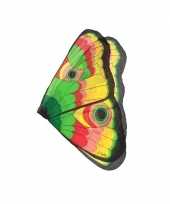 Carnavalskleding vlinder vleugels gekleurd kids arnhem