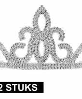 Carnavalskleding x prinsessen tiara zilver dames arnhem