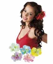 Carnavalskleding x stuks hawaii haarbloemen clip arnhem